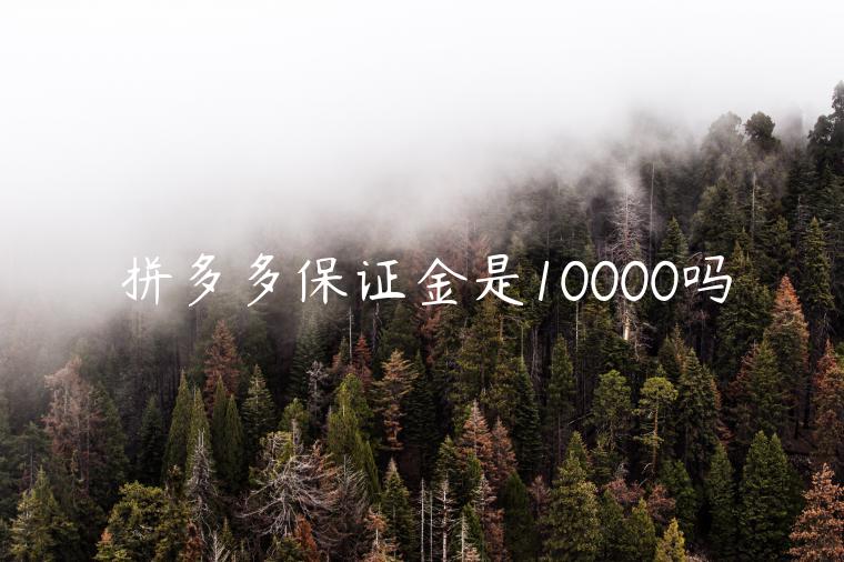 拼多多保證金是10000嗎